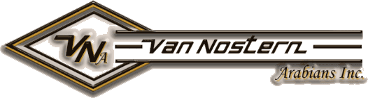 VNA Logo